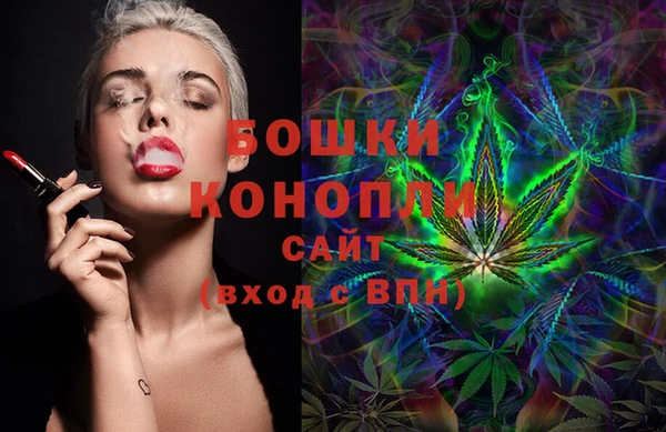 ешки Арсеньев