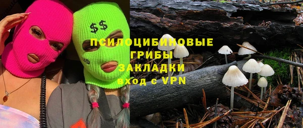 ешки Арсеньев