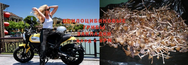 ешки Арсеньев